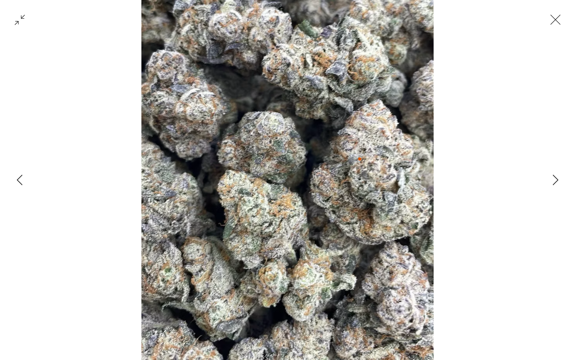 Guccizz Luxury High THCA Flower (H) Bugatti OG / 3.5G (1/8oz)